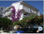 Appartements MV - ivogoe Kroatien