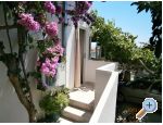 Apartmaji MV - ivogoe Hrvaka