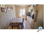 Appartements Tiho - ivogoe Kroatien