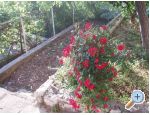 Apartmaji Tiho - ivogoe Hrvaka