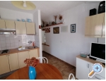 Appartements ELI - ivogoe Kroatien