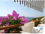 Appartements LM - ivogoe Kroatien