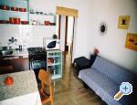 Apartmaji MM - ivogoe Hrvaka