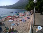 Apartmaji MM - ivogoe Hrvaka