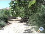 Apartmaji NEDA - ivogoe Hrvaka