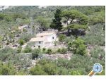 Holiday Home with sea view - ivogoe Horvtorszg