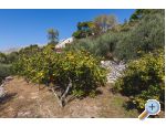 Holiday Home with sea view - ivogoe Horvtorszg