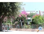 Apartmaji Vila Filipovic - ivogoe Hrvaka