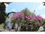 Apartmaji Vila Filipovic - ivogoe Hrvaka