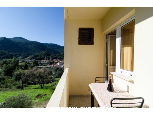 Appartements Dalmatin - uljana  Peljeac Croatie
