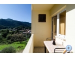 Apartmaji Dalmatin - uljana  Peljeac Hrvaka