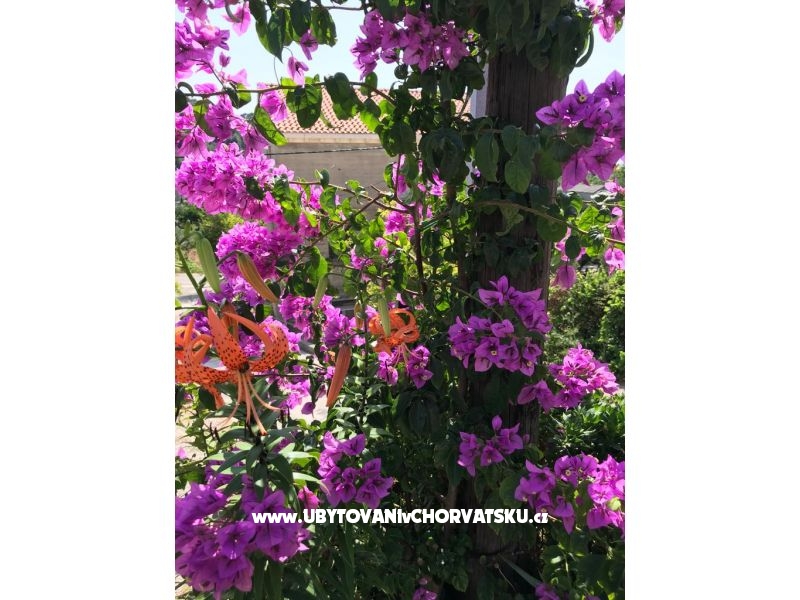 Appartements Kod Vlaha ,I&amp;T – Ferienwohnung Zuljana – Peljesac, Kroatien – Foto 13