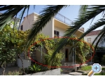 Appartements uljana - uljana  Peljeac Kroatien