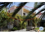 Apartmaji uljana - uljana  Peljeac Hrvaka