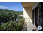Appartements uljana - uljana  Peljeac Kroatien