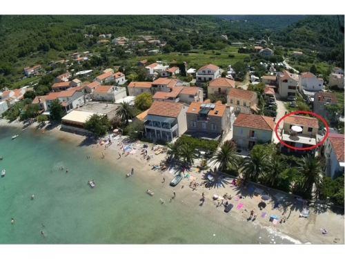 Appartements uljana - uljana  Peljeac Croatie
