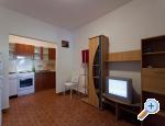 Apartmaji uljana - uljana  Peljeac Hrvaka