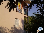 Apartmny Darija - uljana  Peljeac Chorvatsko