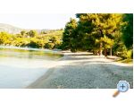 Maison Kate akeli - uljana  Peljeac Croatie
