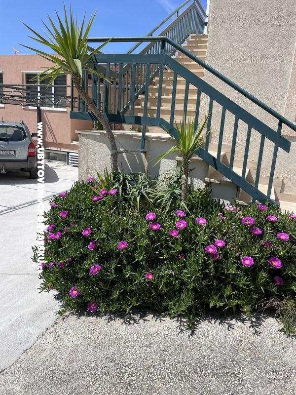 Ferienwohnungen Leko – Ferienwohnung Zuljana â€“ Peljesac, Kroatien – Foto 22