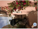 Apartmny Leko - uljana  Peljeac Chorvatsko