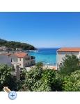 Apartmny Uvala - uljana  Peljeac Chorvatsko