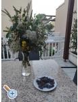 Vila Filipovic Appartements uljana - uljana  Peljeac Kroatien
