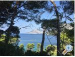 Villa Filipovic 2 Apartmaji uljana - uljana  Peljeac Hrvaka