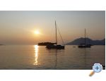 Villa Filipovic 2 Apartmaji uljana - uljana  Peljeac Hrvaka