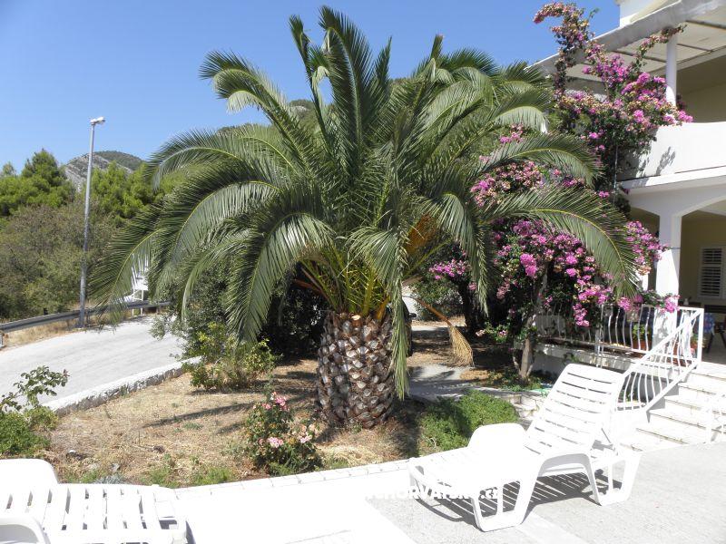 Ferienwohnungen Cavelis – Ferienwohnung Zuljana – Peljesac, Kroatien – Foto 10