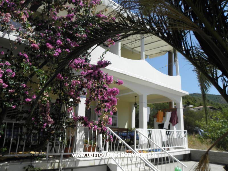 Ferienwohnungen Cavelis – Ferienwohnung Zuljana – Peljesac, Kroatien – Foto 13